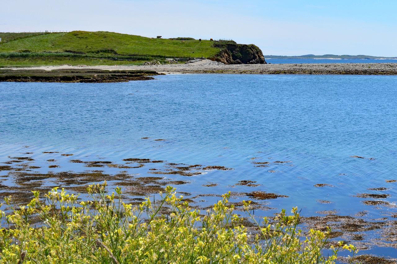 Cottage 311 - Clifden Luaran gambar